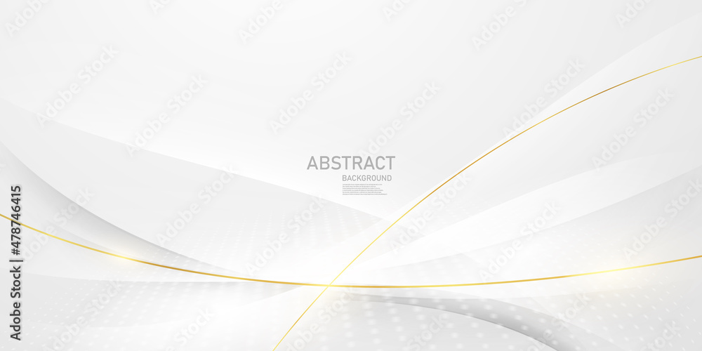 white and gray background elegant abstract design vector illustration