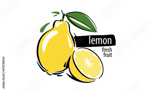 Drawn vector lemon on a white background