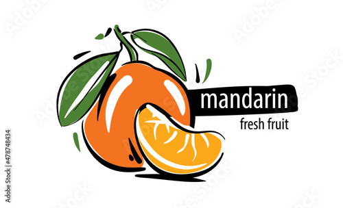 Drawn vector mandarin on a white background