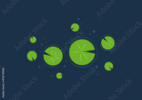 Lily pad vector. Lily pad illustration.