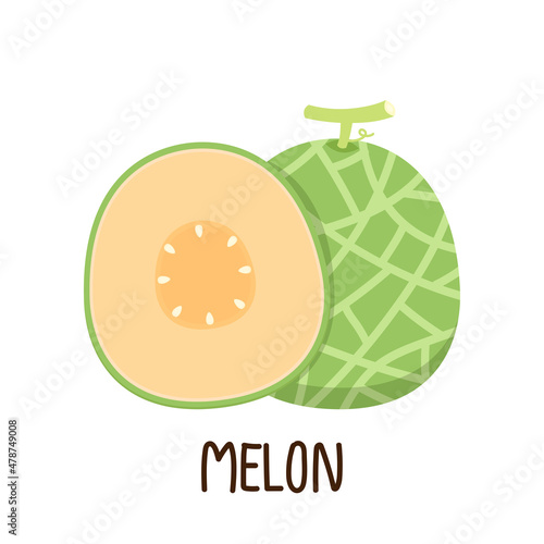 Melon vector. melon on white background. wallpaper. symbol. logo design. melon poster.