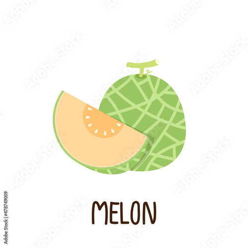 Melon vector. melon on white background. wallpaper. symbol. logo design. melon poster.
