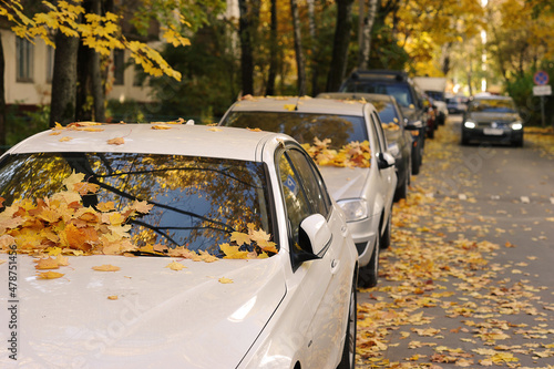 yellow fallen autumn leaves by car - autumn leaf fall