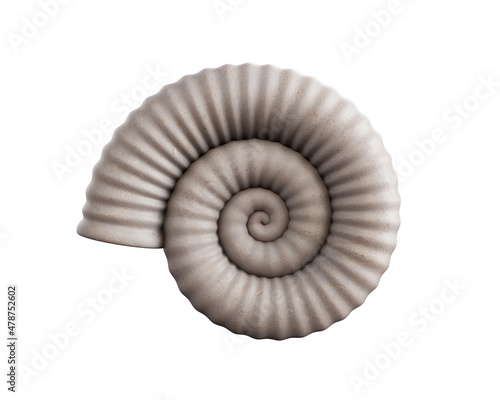 Sea shell isolated on white background. 3d rendering