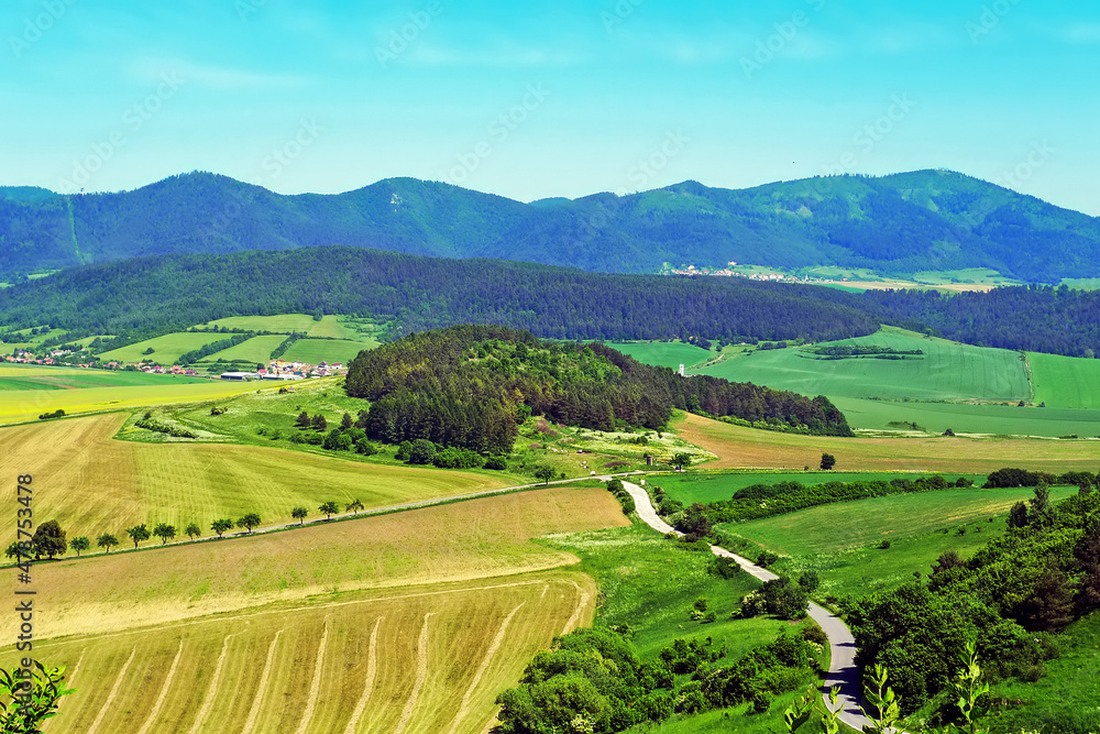 Summer scenery Summer scenery