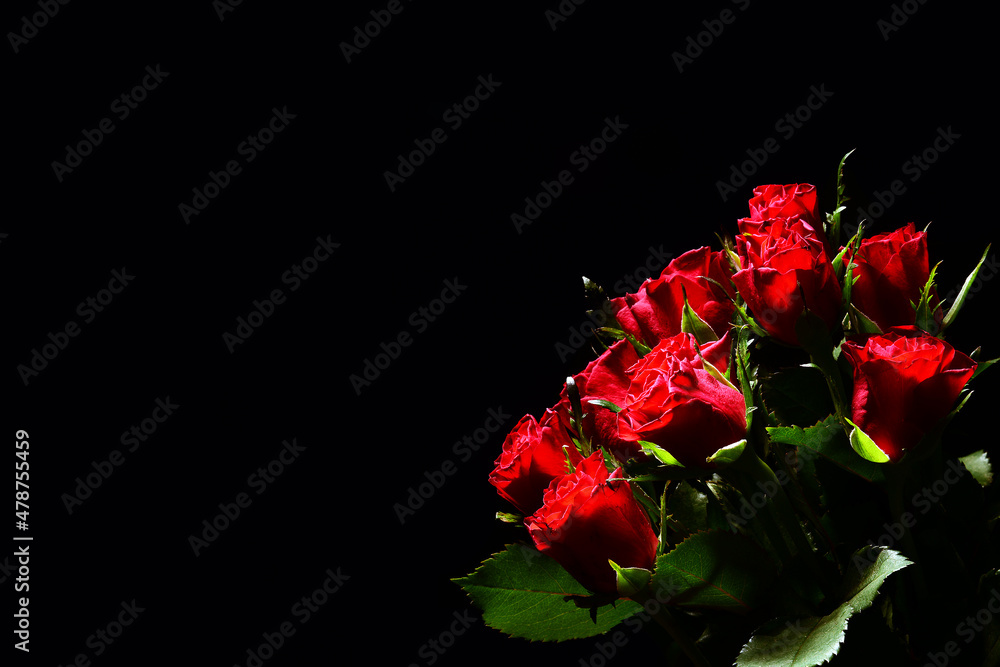 Bukiet róż na czarnym tle. textura pod życzenia na walentynki dla niej lub dla niego. kompozycja róży symbolizującej namiętność, czułość, miłość, delikatność.  - obrazy, fototapety, plakaty 