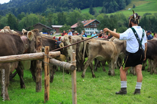 Almabtrieb Viehscheid im Allgäu