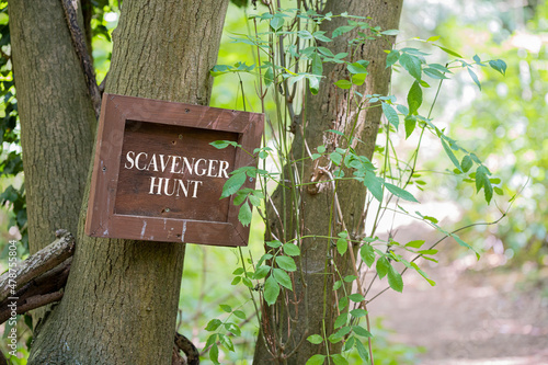 Scavenger hunt sign in wooded forest woodland on wooden framed picture