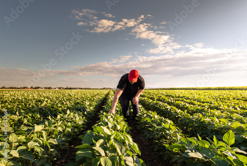 Photos Young farmer in soybean fields
