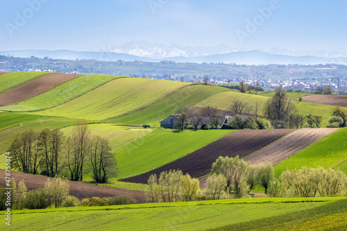 landscape in region country
