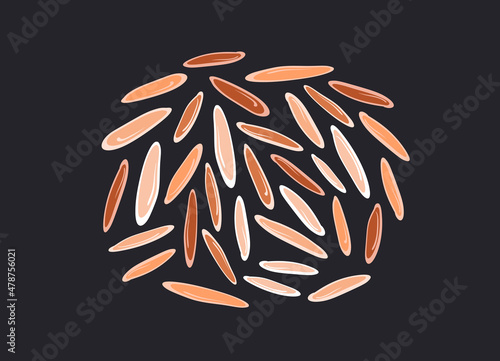 Rice grain set. Vector red, brown, white seed