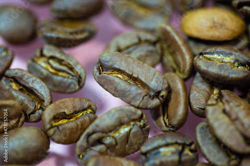 Maragogype beans on a pink background