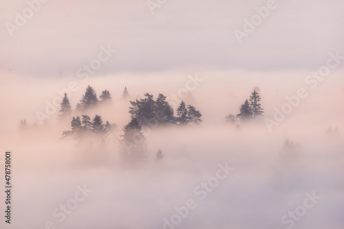 misty morning in the mountains