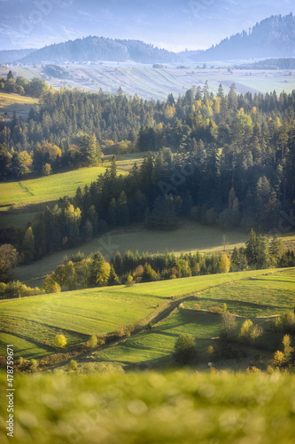 landscape with field and sky