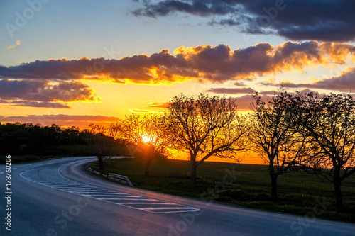 empty asphalt road and trees at  colorful sunset