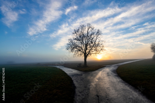 Bare tree and bench con a field in Tübingen Germany on a foggy winter morning at the crossing of two wet dirtways in rural farming landscape at morning sunrise after a rain, colorful sky gradient.