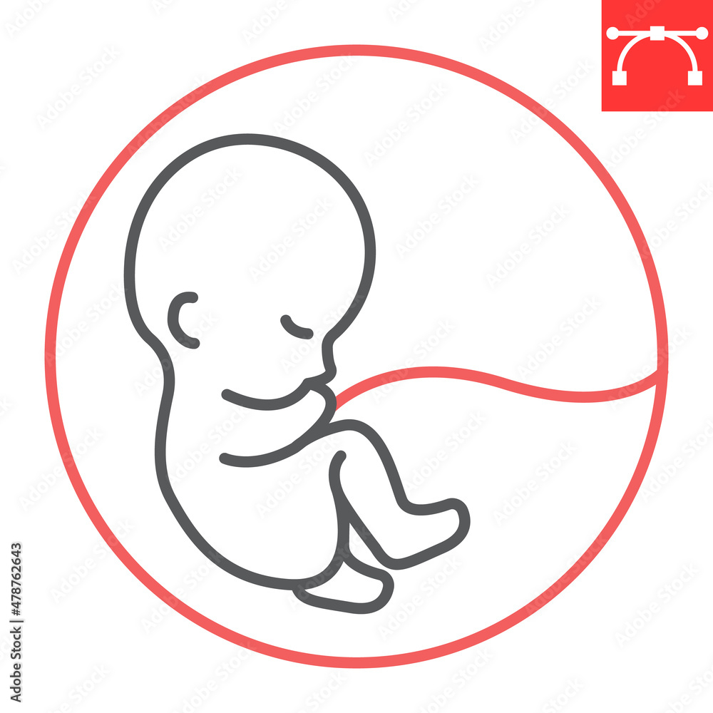 Fetus line icon, embryo and pregnancy, baby in the womb vector icon, vector graphics, editable stroke outline sign, eps 10. Fetus line icon, embryo and pregnancy, baby in the womb vector icon, vector graphics, editable stroke outline sign, eps 10.