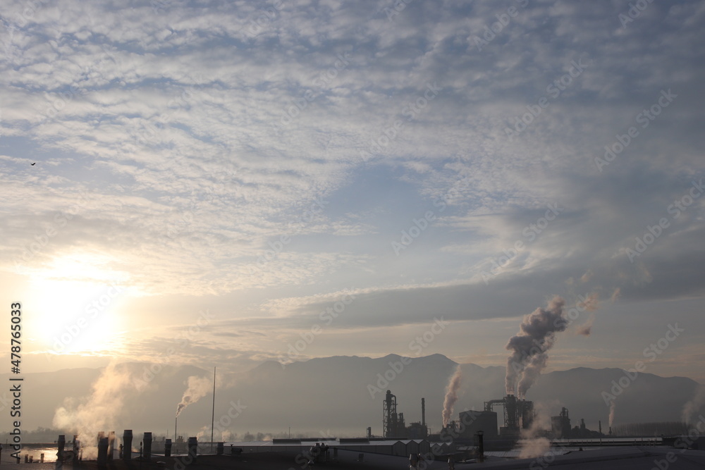 Industrialization. Organized Industrial Zone Industrialization. Organized Industrial Zone