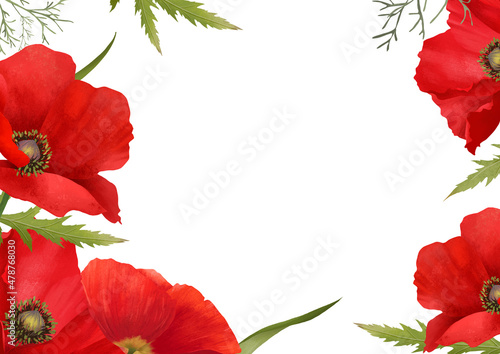 Botanical frame with red poppy flowers and green leaves on white background with space for text. Spring or summer border flowers for invitation  wedding or greeting cards.