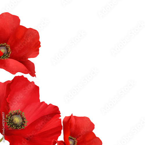 Fototapeta Naklejka Na Ścianę i Meble -  Beautiful poppy flowers in a beautiful composition isolated on white background. Decorative element for greeting or wedding cards in the corner of the sheet. 