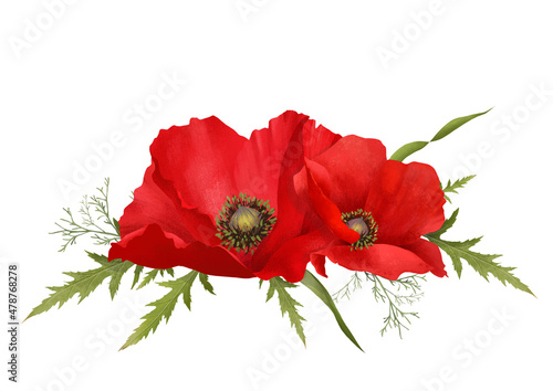 Botanical composition with red poppy flowers and green leaves on white background. Spring or summer border flowers for invitation, wedding or greeting cards.