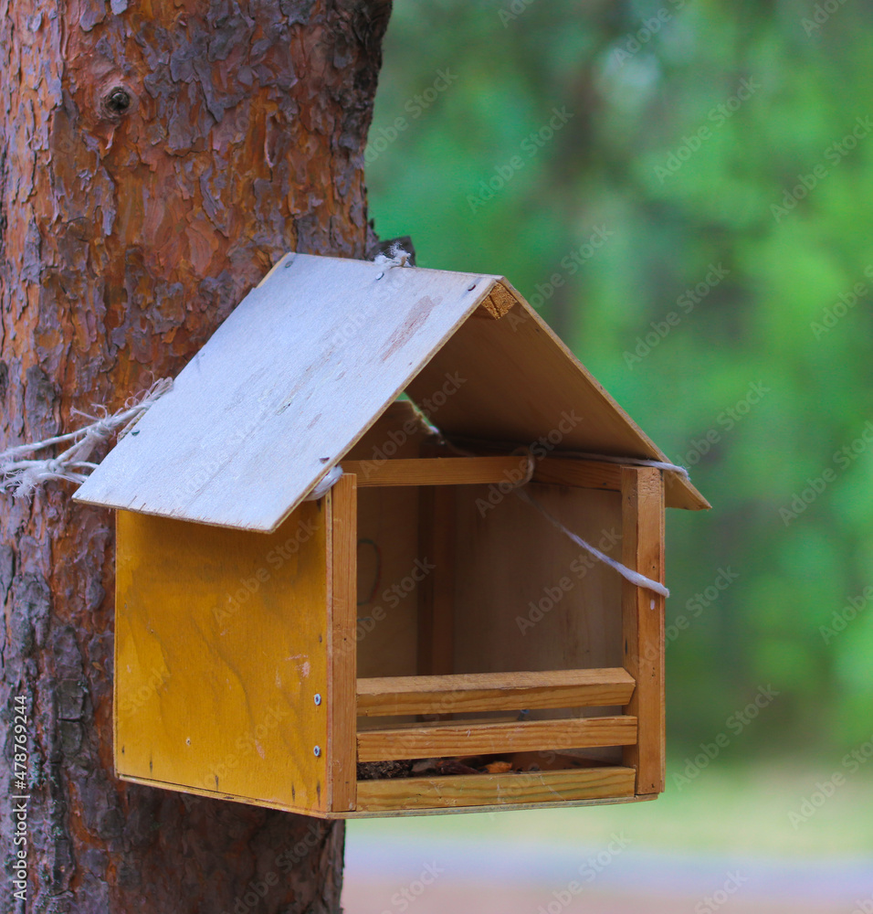 Birdhouse on a tree in the park Birdhouse on a tree in the park