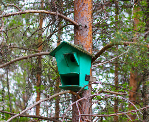 Birdhouse on a tree in the park