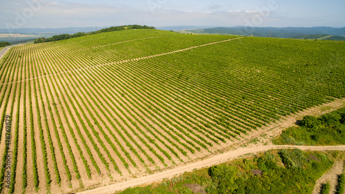 Aerial view of the vineyard