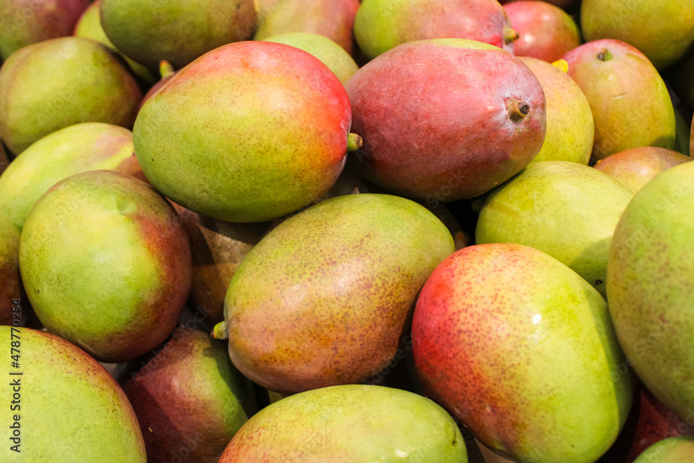 large pile of ripe fresh mango fruits for sale in the supermarket large pile of ripe fresh mango fruits for sale in the supermarket