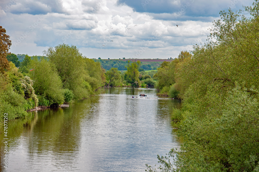 Fototapeta premium River Wye in the Wye valley in England in the summertime.