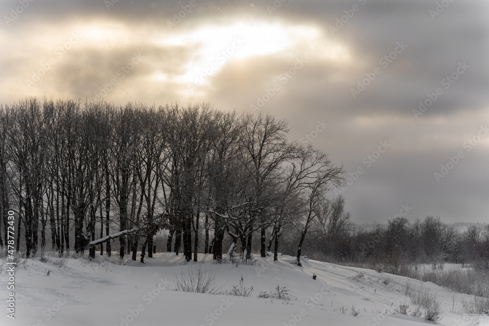 The sun through the clouds in winter The sun through the clouds in winter