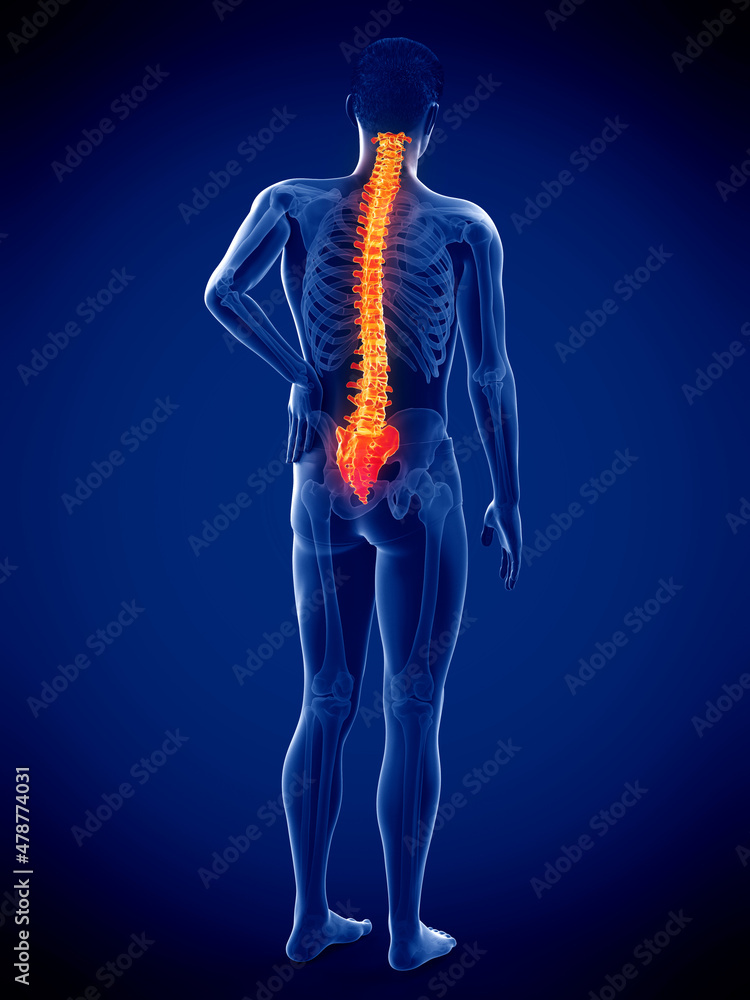 3d rendered medically accurate illustration of a mans painful back 3d rendered medically accurate illustration of a mans painful back