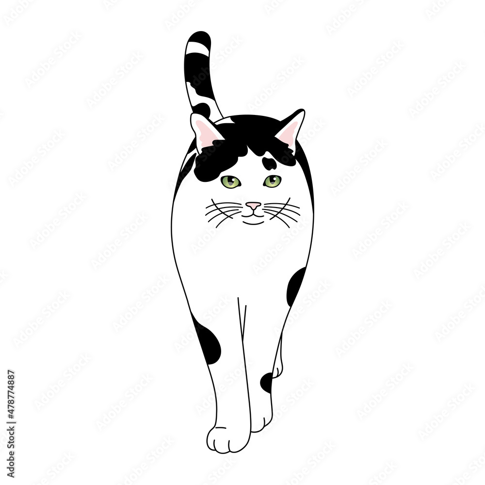 歩く白黒猫のリアルタッチなイラスト Stock ベクター Adobe Stock