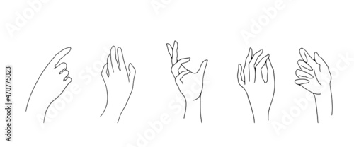 A set of gestures of female palms. Thin hand lines on a white background.