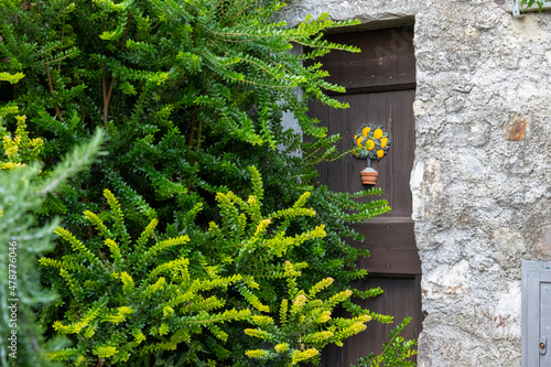 A wooden door hidden behind the green branches of a bush and a lemon tree sign in a stone wall marks the entrance to a lemon greenhouse near Gargnano on Lake Garda in summer