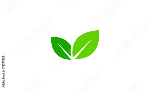 green leaf icon