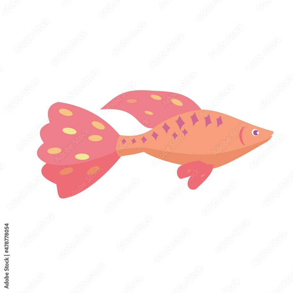 Aquarium fish Orange and red guppy isolated on white background. Cartoon vector illustration Aquarium fish Orange and red guppy isolated on white background. Cartoon vector illustration