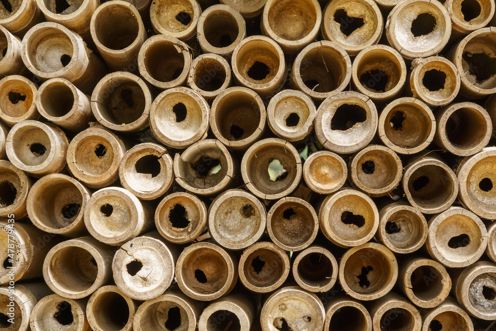 Beautifully arranged bamboo cylinder pattern Beautifully arranged bamboo cylinder pattern