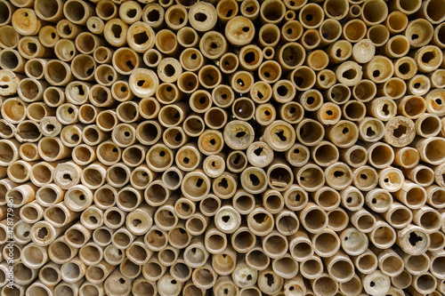 Beautifully arranged bamboo cylinder pattern