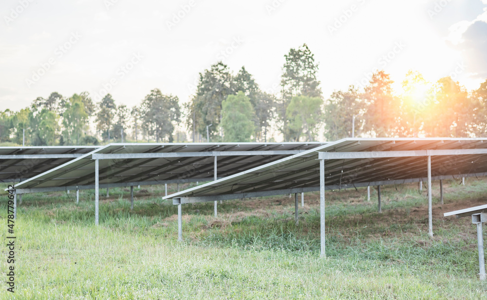 Fototapeta premium sun above solar farm renderings Clean energy.