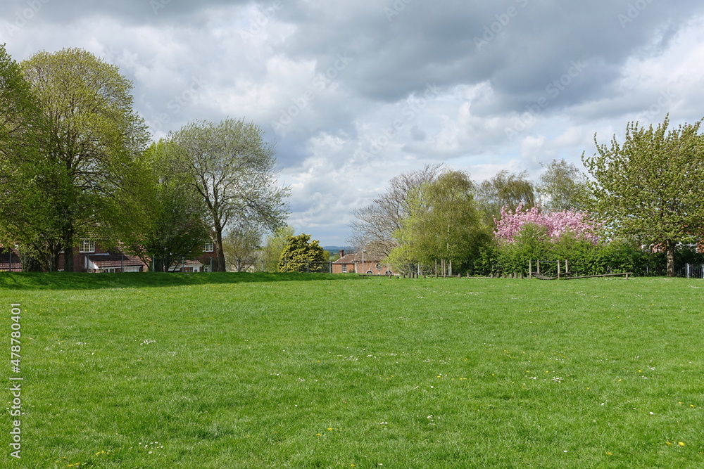Playing field with leafy trees and cloudy sky above Playing field with leafy trees and cloudy sky above