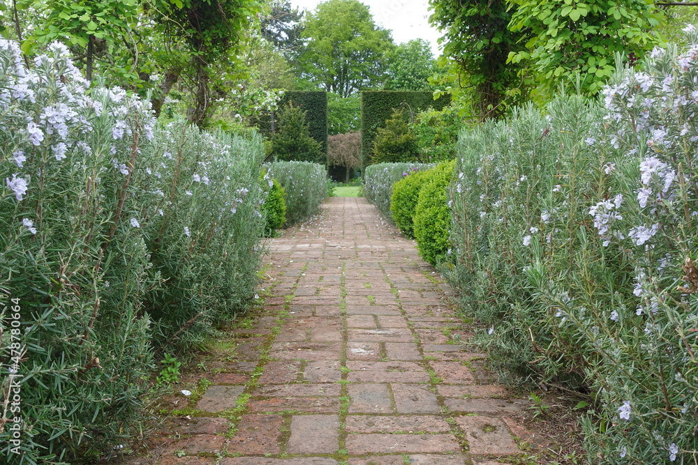 Scenic View of a Brick Paved Path through a Garden with Flowers in Bloom