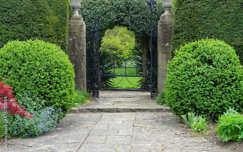 Stone path with hedge in a beautiful garden