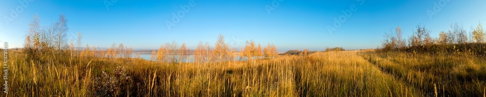 Panorama of autumn tree on a large lawn. Panorama of autumn tree on a large lawn.
