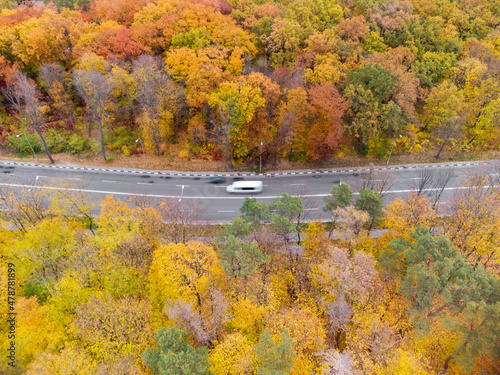 Aerial view on traffic on scenic road turn in autumnal yellow forest. Look down on cars driving street in autumn city park. Treetop Kharkiv, Ukraine