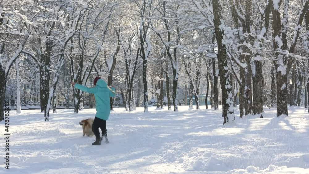 girl plays with the corgi dog during the winter walking
girl plays with the corgi dog during the winter walking