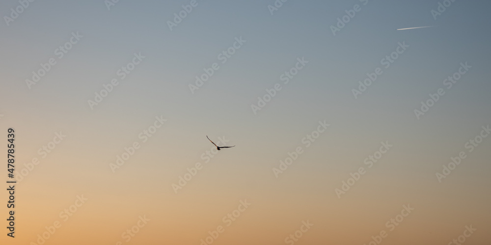 Fototapeta premium Flying Objects
