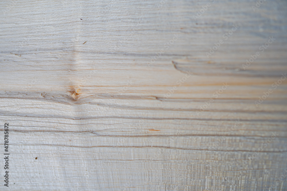 Fresh wood log texture background. Sycamore maple, Acer pseudoplatanus Fresh wood log texture background. Sycamore maple, Acer pseudoplatanus