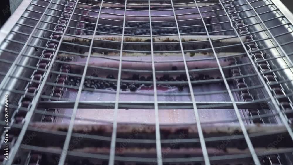 winemaking process in interior of winery, red grapes on the conveyor winemaking process in interior of winery, red grapes on the conveyor