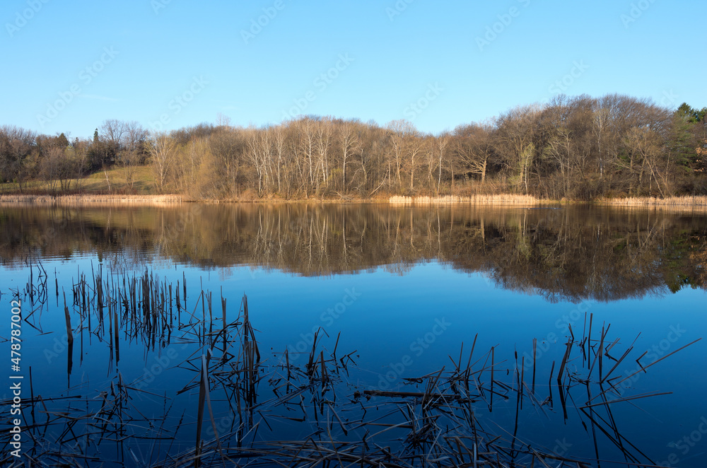 marthaler park and pond spring horizon